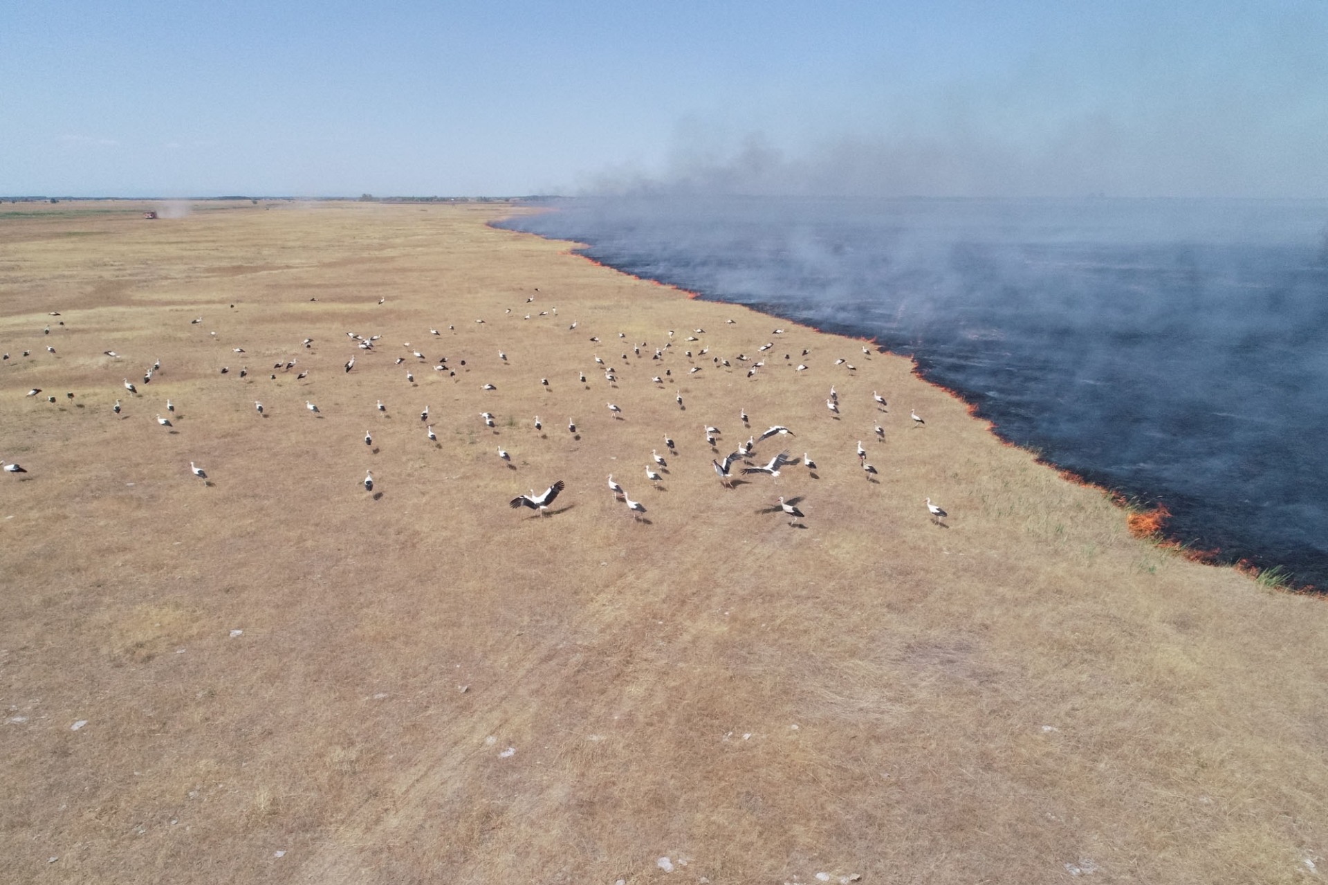 Large grassland fire from the birdseye view.