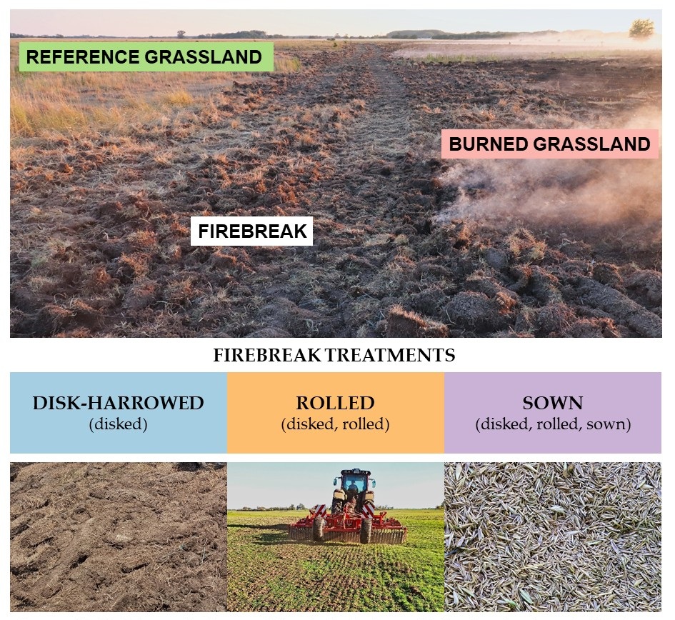 Our sampling design and the five treatments.